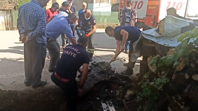 Kanalizasyona düşen köpek yavrusunu itfaiye kurtardı - KOCAELİ