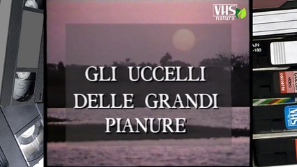 GLI UCCELLI DELLE GRANDI PIANURE