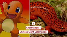 12 Pokemon that exist in real life