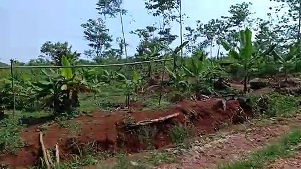 VID-20191214-WA0005