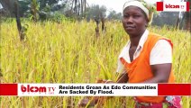 Farmland, houses submerged as flood hits 7 communities in Edo .....Anegbete, Osomegbe and Udaba communities in Edo State affected, as residents call for help