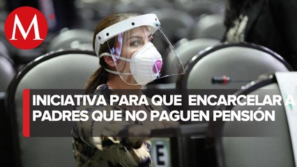 Diputada Maribel Aguilera propone cárcel para quien incumpla con pensión alimenticia