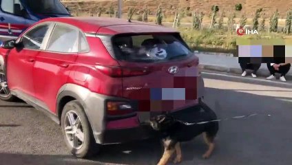 Narkotik köpekleri aracı aradı; 1 kilodan fazla uyuşturucu bulundu