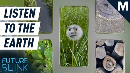 Listen to what the Earth is saying with this app — Future Blink