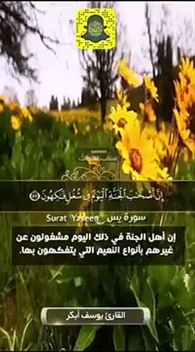 حالات واتس اب قران كريم--❣القارئ يوسف ابكر--حالات واتس اب دينية❣تلاوة مؤثرة(360P)_1