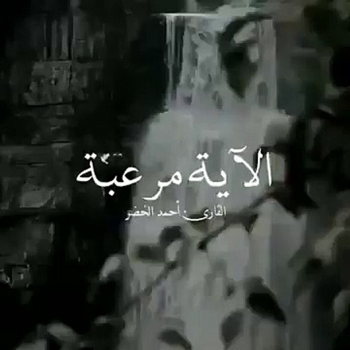 حالات واتس اب قران اية قرانية قصيرة لراحة قلبك ----️الاية مرعبة(360P)_1