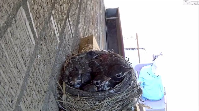 maman, maman... Non désolé je ne suis pas ta mère!!!