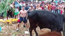 Miles de creyentes celebran corrida de toros en Nicaragua pese a pandemia