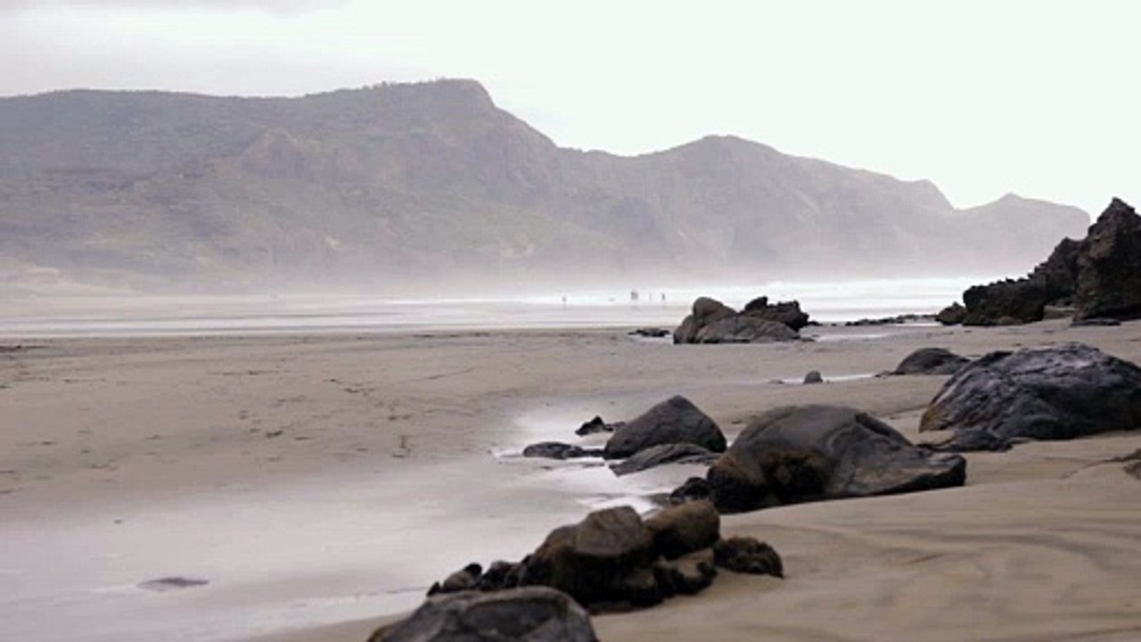 Beach Bethells Sand Aerial shot over a sandy coastline natural beautiful royalty Free Stock no copyright video Free for commercial use dron dron aerial view (2)
