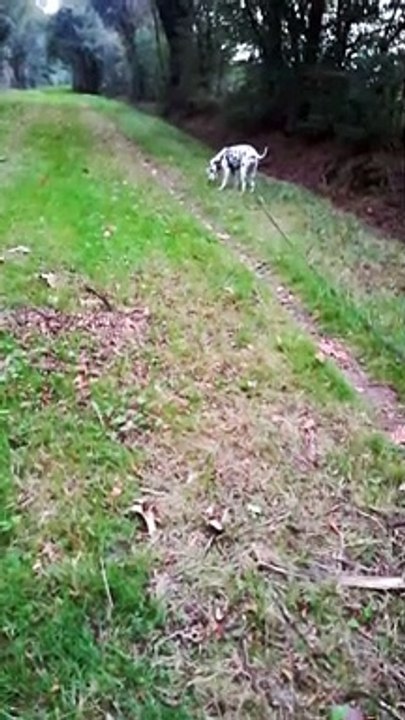 VID_20200930_190140