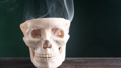 Pandemic Survival Guide: Tips For Keeping Yourself Mentally Healthy