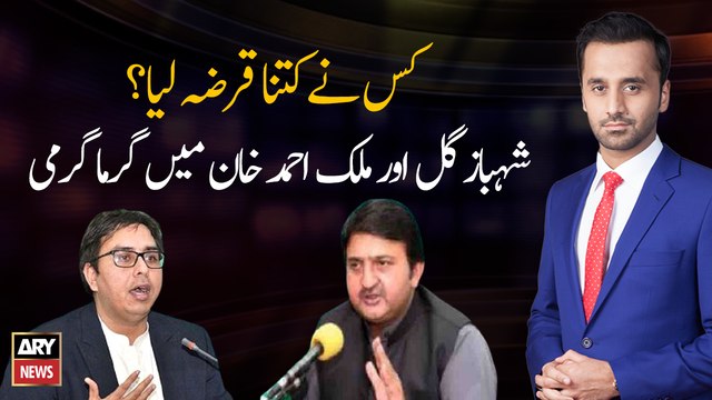 Who borrowed how much loan?