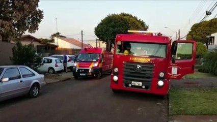 Homem leva cerca de 50 picadas de abelha no Bairro São Cristóvão