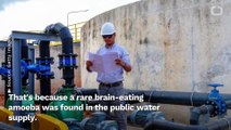 Don't Drink The Water - Texas Town's Water Supply Contains Brain-Eating Bug