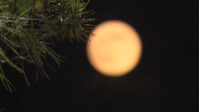 [날씨] '추석' 구름 사이로 보름달...이후 연휴 날씨는? / YTN