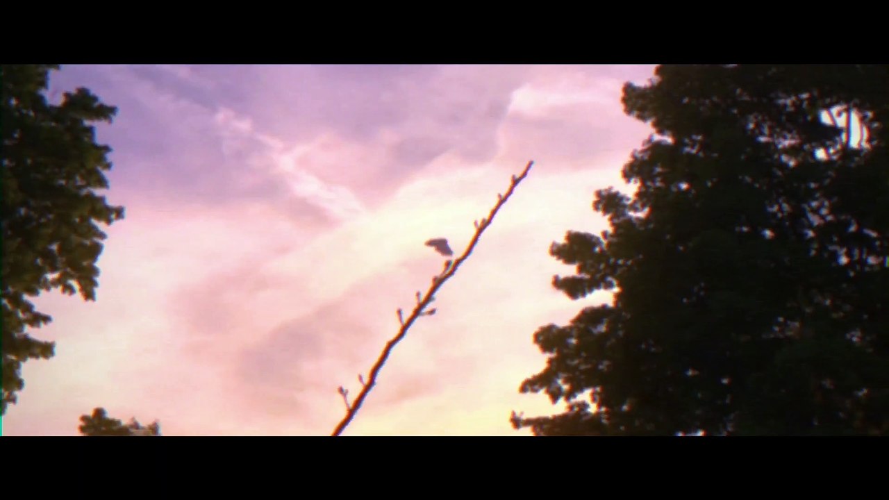 The Mothman Legacy