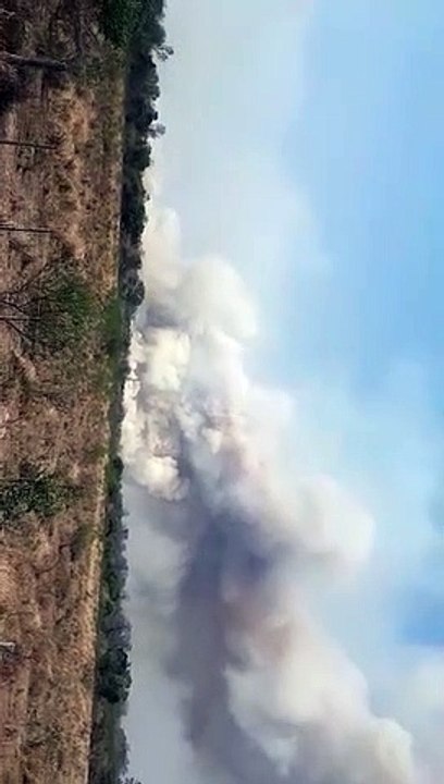 Fuerte incendio en El Tacuruzal afectó alrededor de 600 hectáreas