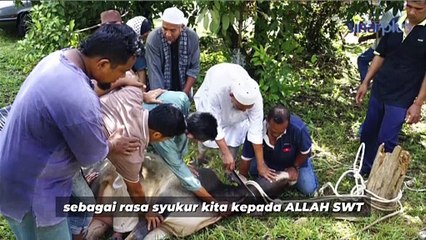 Ibu bapa tak mampu, anak buat akikah sendiri bila dewasa