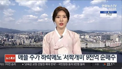 애플 주가 하락에도 '서학개미' 9천억 순매수
