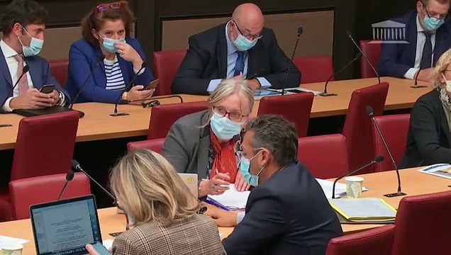 Commission des affaires économiques : Diverses dispositions d’adaptation au droit de l’Union européenne en matière économique et financière - Mercredi 30 septembre 2020