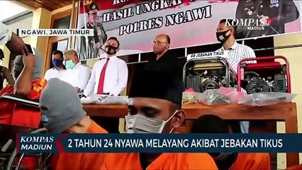 2 Tahun 24 Nyawa Melayang Akibat Jebakan Tikus