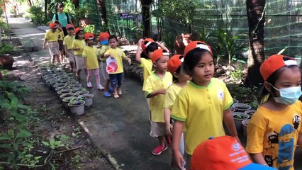 NÔNG TRẠI VỀ QUÊ - CHO TÔI XIN MỘT VÉ VỀ TUỔI THƠ | MẦM NON PHƯƠNG MINH