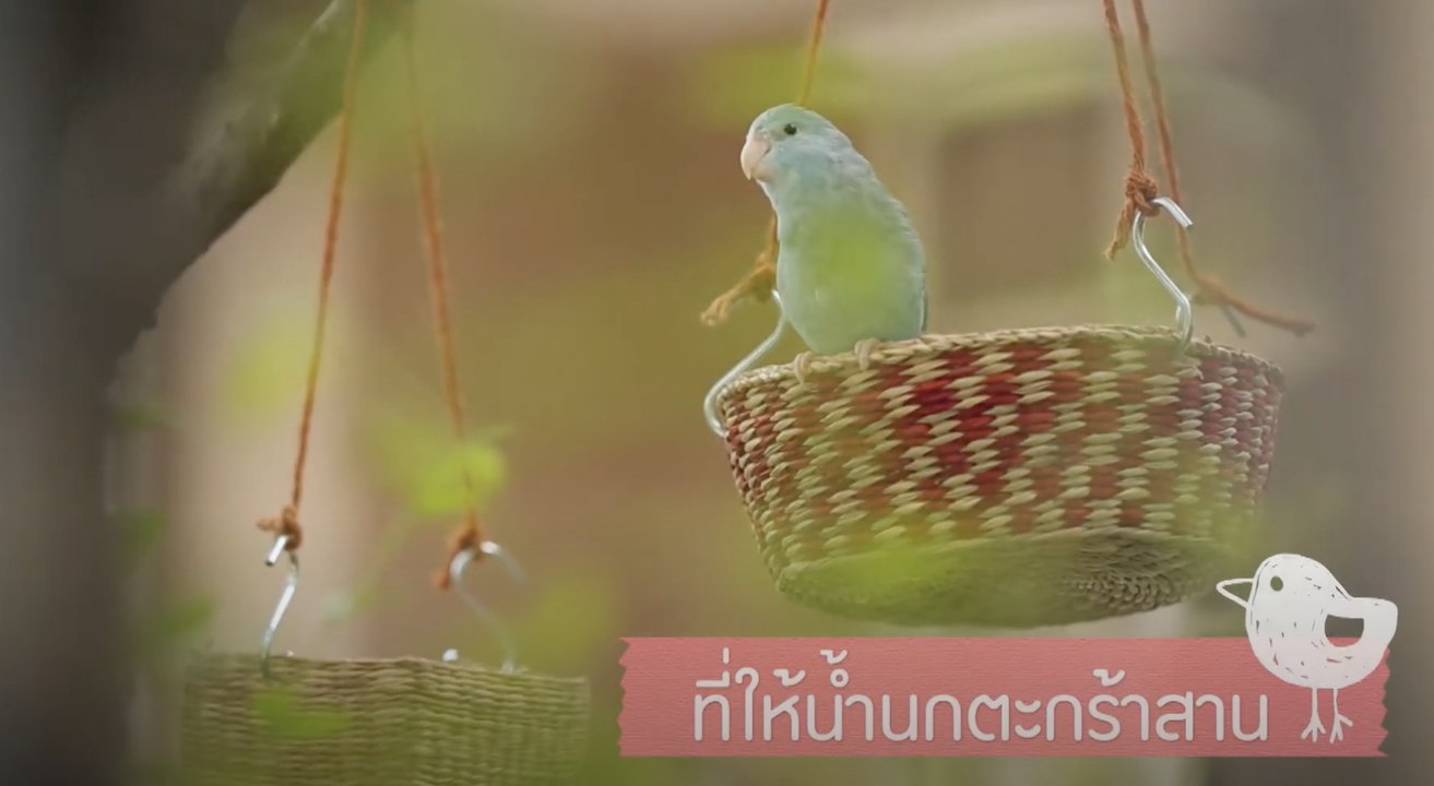 DIY - How To : ที่ให้น้ำนกตะกร้าสาน [2/3]