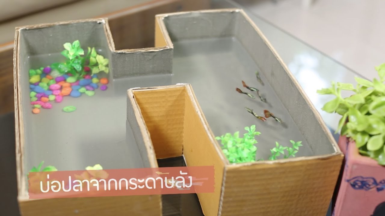 DIY - How To : บ่อปลาจากกระดาษลัง [3/3]