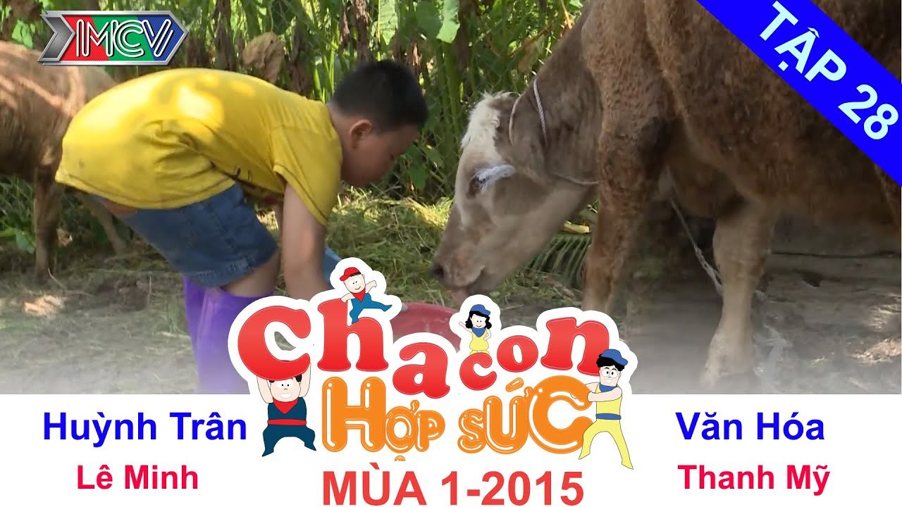 CHA CON HỢP SỨC | Tập 28 FULL | Trận tứ kết 1 – Vòng tứ kết | 170115