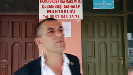 Sakarya’da mahalleye inen ayı panik oluşturdu