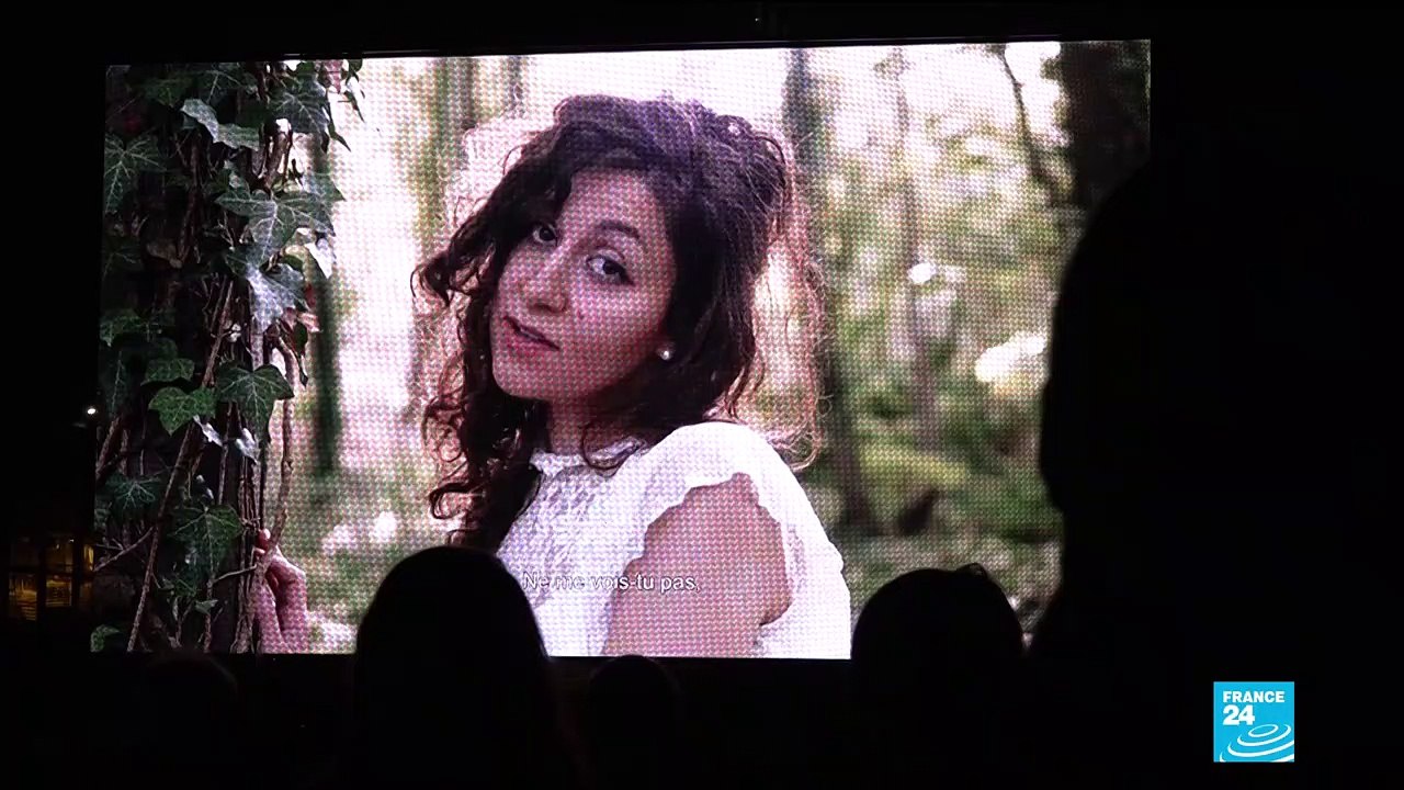 Lebanese diaspora in Paris fights for change from the outside