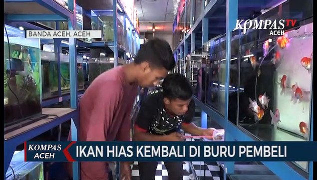 Ikan Hias Laku Keras