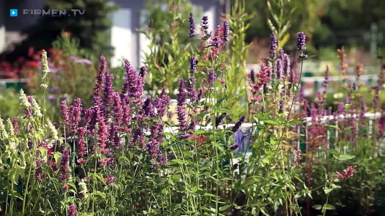 Staudengärtnerei Augustin in Effeltrich – Ihr Profi für die Neu- und Umgestaltung von Beeten