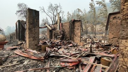 California Glass Fire leaves charred vehicles, trees in wake