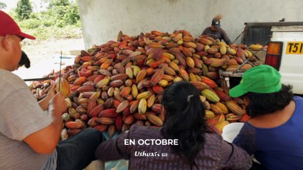 Cycle "Tous ensemble pour une alimentation durable"