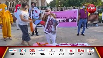 हाथियों की स्थिति में सुधार की मांग