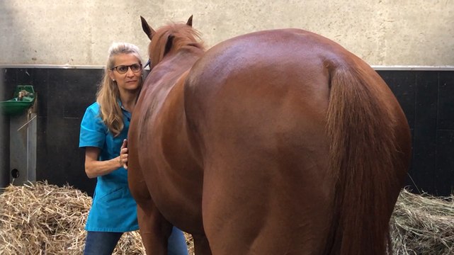 Anne Goupil, physiothérapeute, et Sottsass, avant le prix de l’Arc de Triomphe