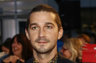 Shia LaBeouf has been charged with battery and petty theft