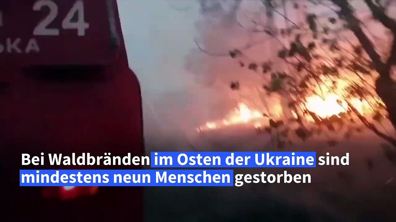 Mehrere Tote bei Waldbränden im Osten der Ukraine