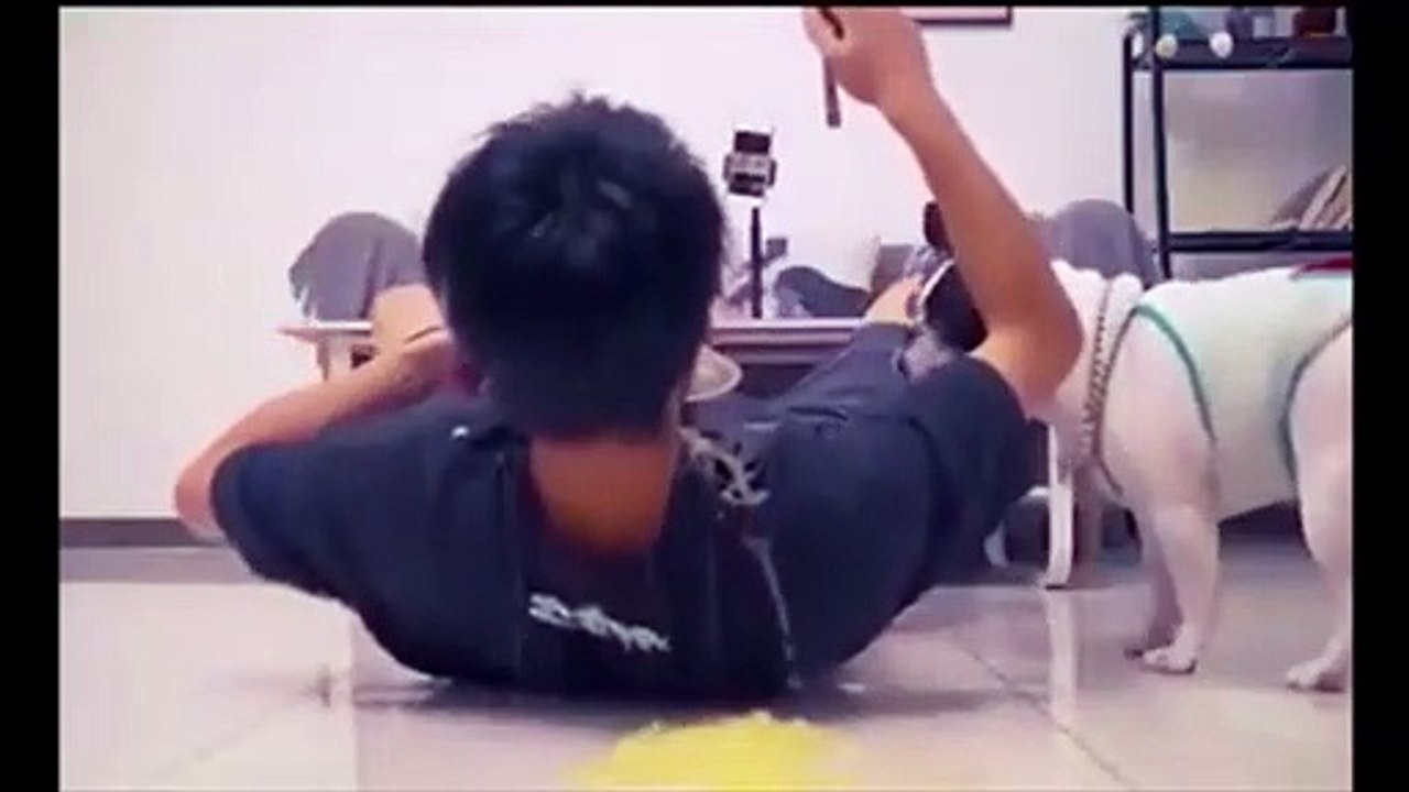 Ce chien fait une très mauvaise blague à son maitre