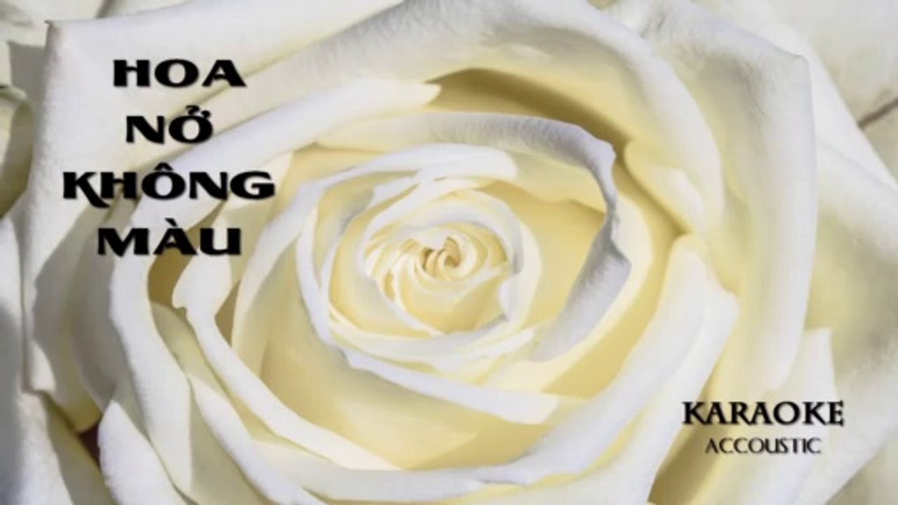 Hoa Nở Không Màu - Karaoke ( Acoustic Guitar Ton Nữ - C#m ) | 3N Music