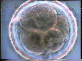 Science of Human Reproduction