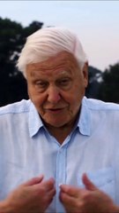 Αυτός είναι το διάσημος που μέσα σε 4 ώρες έφτασε τους 1 εκατομμύριο followers