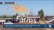 Vertuccio Farms opens for fall fun