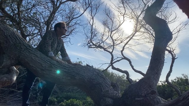 Cris Juanico - Un vol de miloca - Videoclip oficial