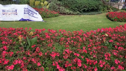 Has The Pandemic Affected Your Sleeping