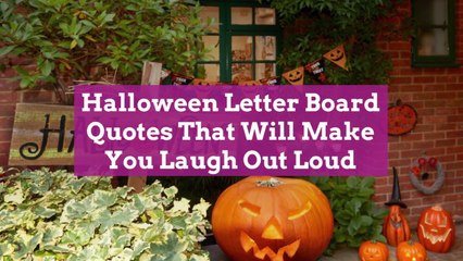 Halloween Letter Board Quotes That Will Make You Laugh Out Loud