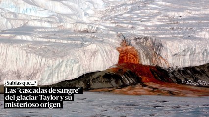 ¿Hay glaciares que sangran?