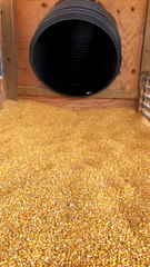 Kid Confused by Corn Kernels at Bottom of Slide