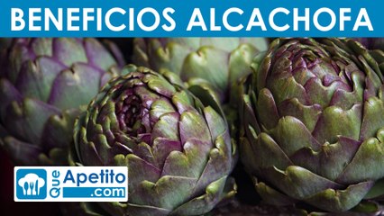 8 Propiedades y Beneficios de la Alcachofa | QueApetito